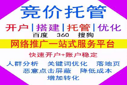 大数据分析在竞价广告中的应用